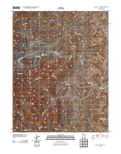 Raggy Canyon 2010 topographic map thumbnail