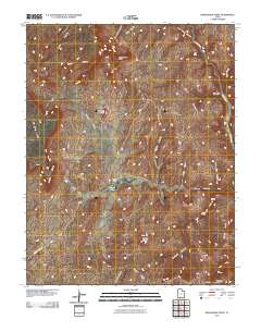 Deer Range Point 2010 topographic map thumbnail