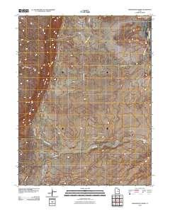 Greasewood Draw 2010 topographic map thumbnail