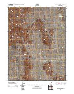 Topaz Mountain East 2011 topographic map thumbnail