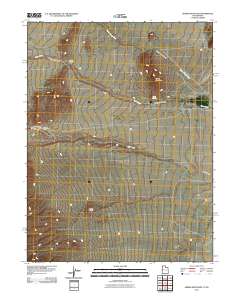 Spring Mountain 2011 topographic map preview