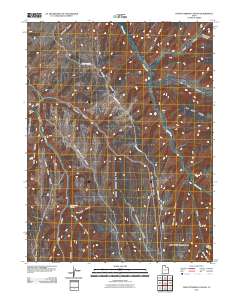 Tom Patterson Canyon 2011 topographic map thumbnail