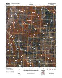 Cedar Mountain 2011 topographic map thumbnail