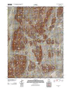 Red Tops 2010 topographic map thumbnail