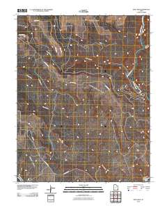 Devil Mesa 2010 topographic map thumbnail