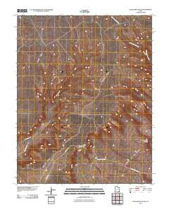 Cedar Mesa South 2010 topographic map thumbnail