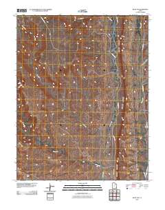 Bluff NW 2010 topographic map thumbnail