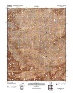 Bridger Point 2011 topographic map thumbnail