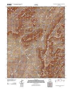 Yellow Rock Point West 2010 topographic map thumbnail