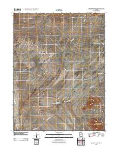 Erickson Wash SW 2010 topographic map thumbnail