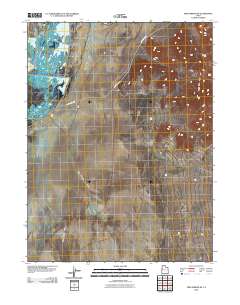 Fish Springs SE 2010 topographic map thumbnail