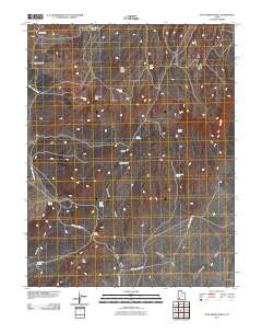Jack Henry Knoll 2010 topographic map thumbnail