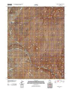 Turkey Knob 2010 topographic map thumbnail