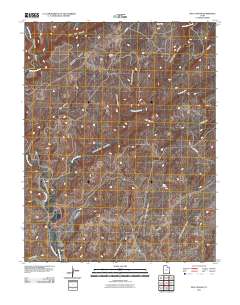 Bug Canyon 2011 topographic map thumbnail
