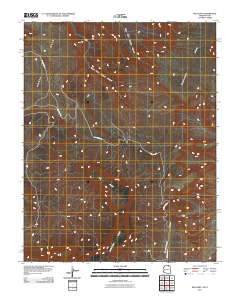 Big Point 2011 topographic map thumbnail