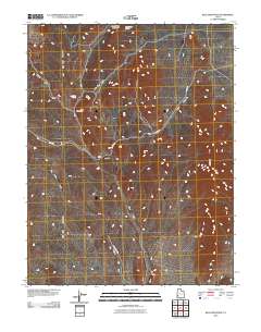 Blue Mountain 2010 topographic map thumbnail