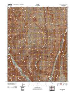 Calico Peak 2011 topographic map thumbnail