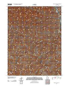 Turtle Canyon 2011 topographic map thumbnail