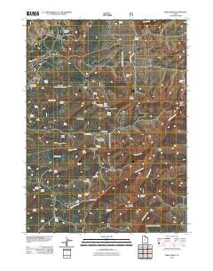 Dairy Ridge 2011 topographic map thumbnail