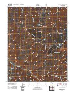 Flanigan Arch 2011 topographic map thumbnail