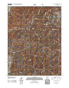 Chriss Canyon 2011 topographic map thumbnail