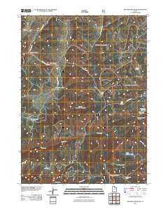 Red Spur Mountain 2011 topographic map thumbnail