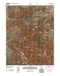 Pine Park 2011 topographic map thumbnail