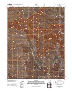 Black Steer Canyon 2011 topographic map thumbnail