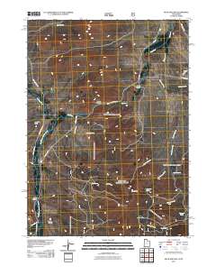 Buck Hollow 2011 topographic map thumbnail