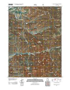 Durst Mountain 2011 topographic map thumbnail
