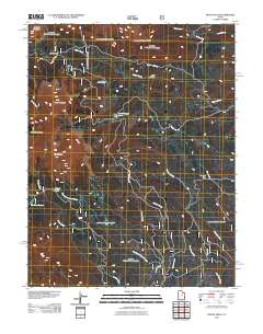Mount Peale 2011 topographic map thumbnail