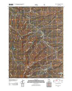 Peck Canyon 2011 topographic map thumbnail