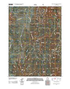Monte Cristo Peak 2011 topographic map thumbnail