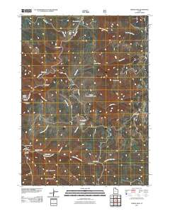Temple Peak 2011 topographic map thumbnail
