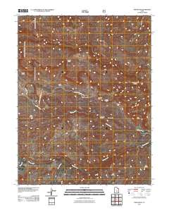 Twin Rocks 2011 topographic map thumbnail