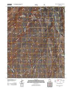 Mancos Jim Butte 2011 topographic map thumbnail