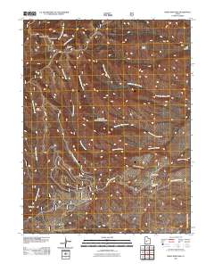 White Pine Peak 2011 topographic map thumbnail