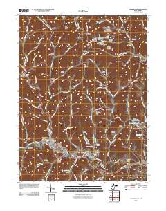 Mannington 2011 topographic map thumbnail