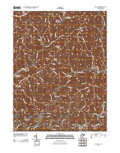 Petroleum 2010 topographic map thumbnail