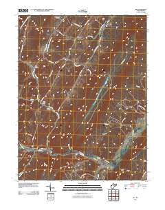 Rio 2011 topographic map thumbnail