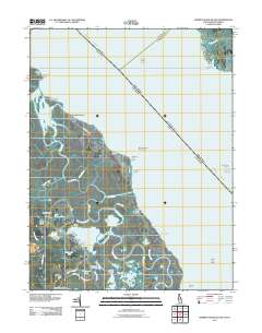 Bombay Hook Island 2011 topographic map thumbnail