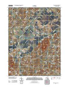 Pine Island 2011 topographic map thumbnail