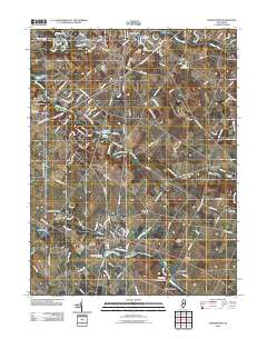Woodstown 2011 topographic map thumbnail