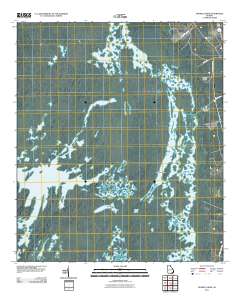 Double Lakes 2011 topographic map thumbnail