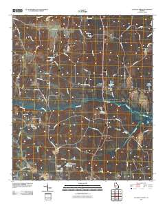 Ellaville North 2011 topographic map thumbnail