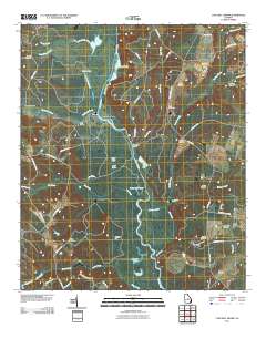 Cow Hell Swamp 2011 topographic map thumbnail