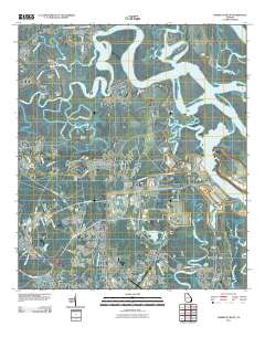 Harrietts Bluff 2011 topographic map thumbnail