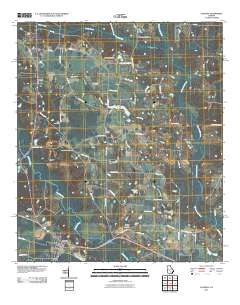 Alapaha 2011 topographic map thumbnail