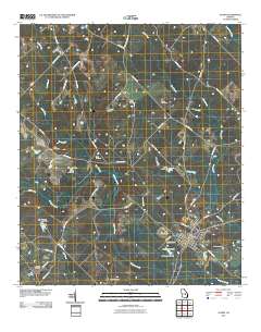 Alamo 2011 topographic map thumbnail
