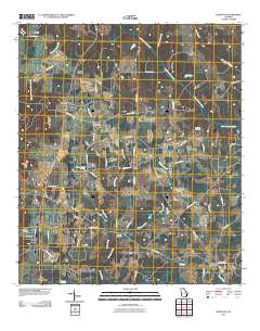 Bluffton 2011 topographic map thumbnail